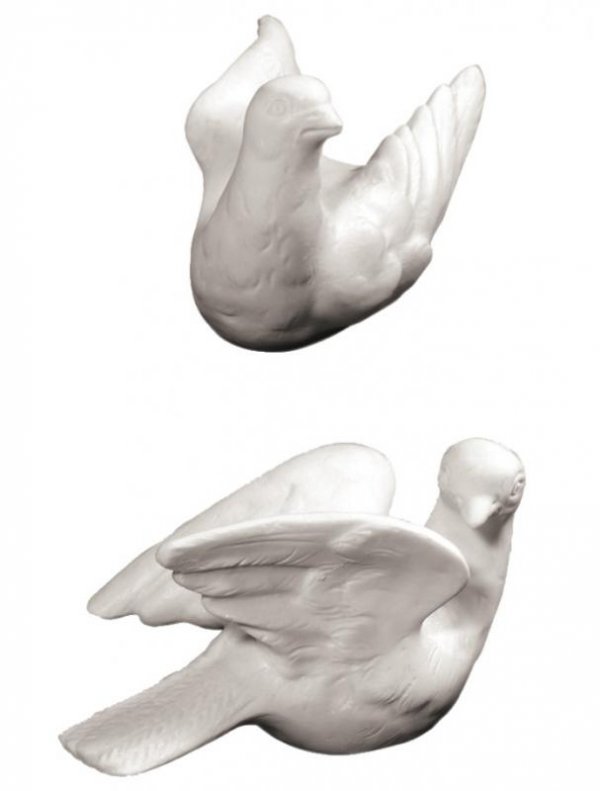 Dove